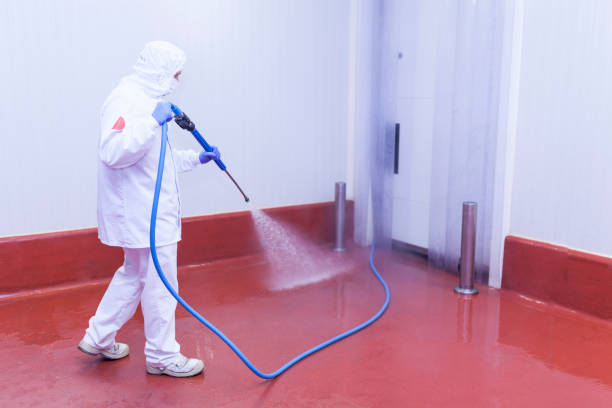 Best Roof Washing  in Noel, MO