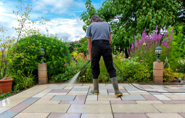 Best Driveway Pressure Washing  in Noel, MO